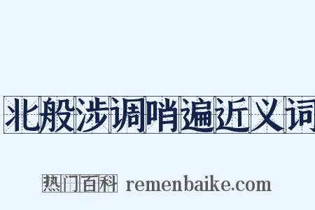 北般涉调哨遍近义词是什么意思的图片